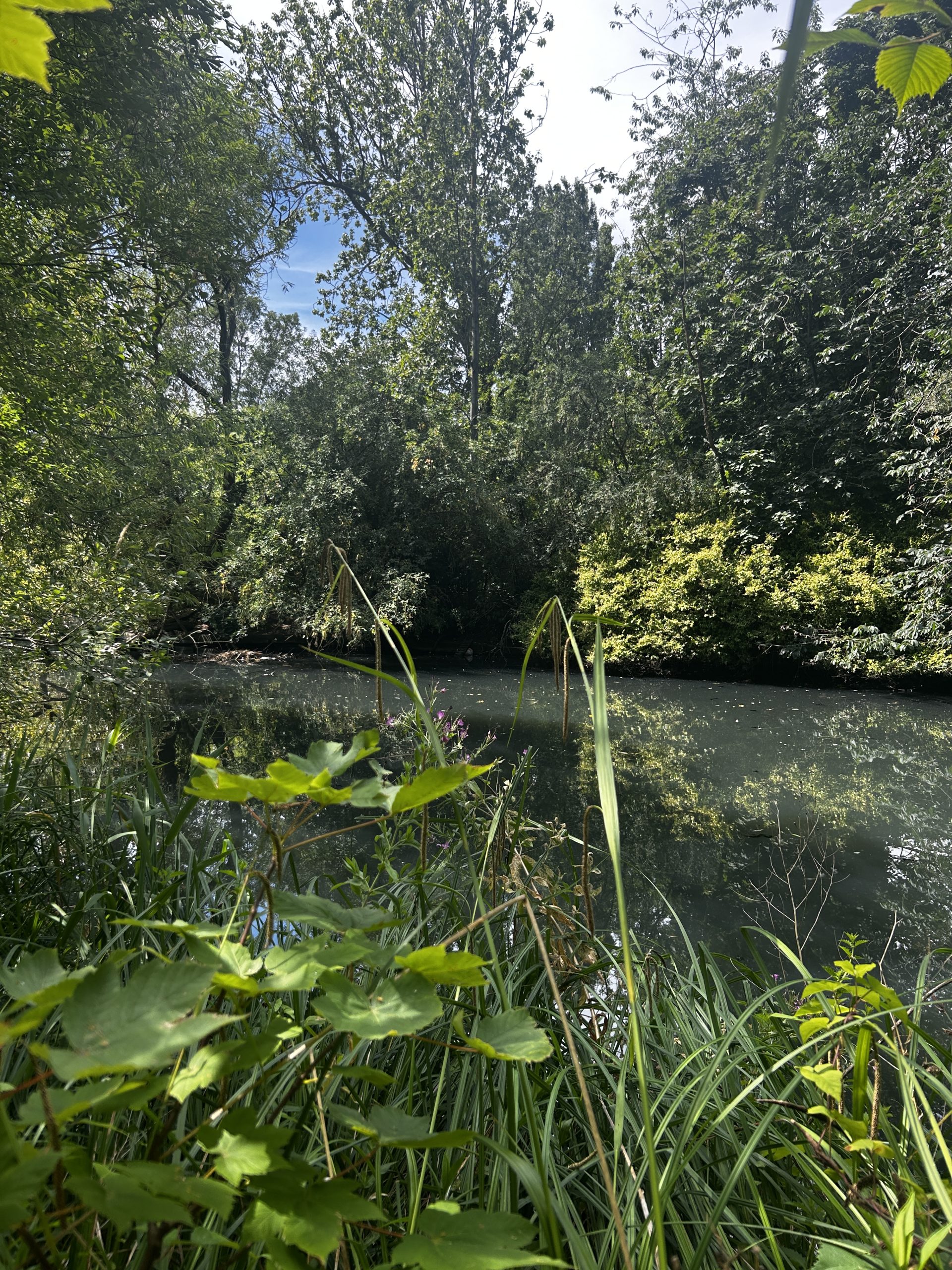 Pymmes Park